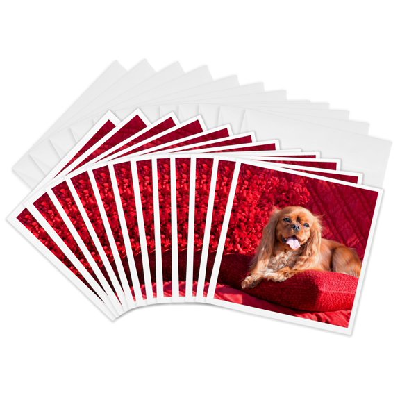 3drose, Cavalier Lying on Red Pillow, Mr, 12 Greeting Cards with Envelopes