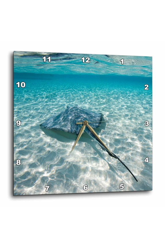, Cayman Islands, Southern Stingray in Caribbean Sea-ca42 Pso0046 - Paul Souders, 15x15 Wall Clock