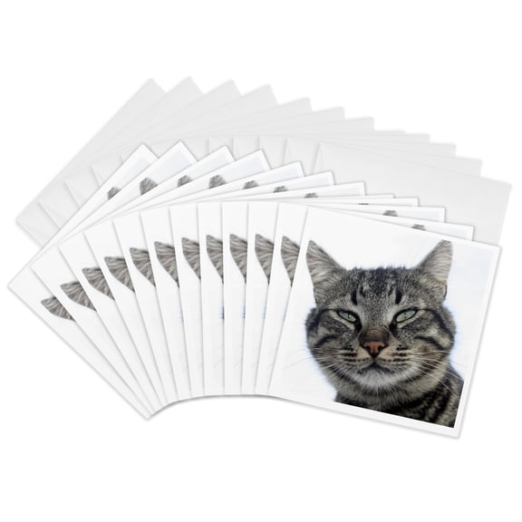 3drose, Charming Brown Tabby Cat Photo Portrait, 12 Greeting Cards with Envelopes