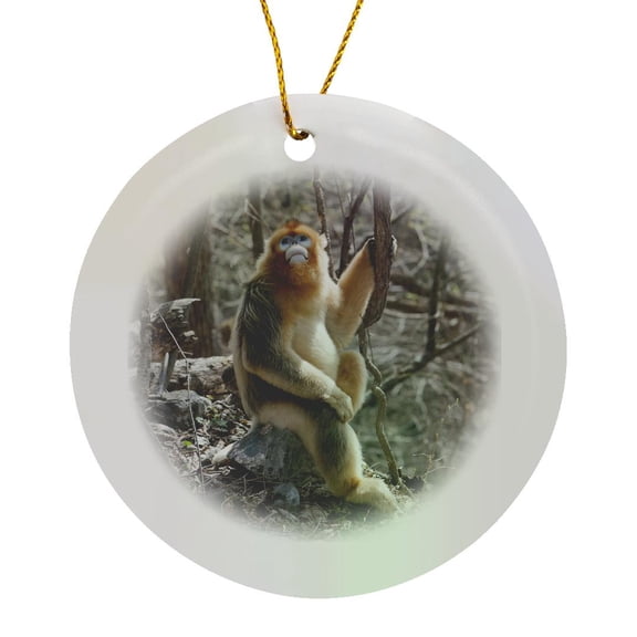 3drose, China, Qinling Mountains, Male Golden Monkey - As07 Aga0024 - Alice Garland, Circle Porcelain Ornament