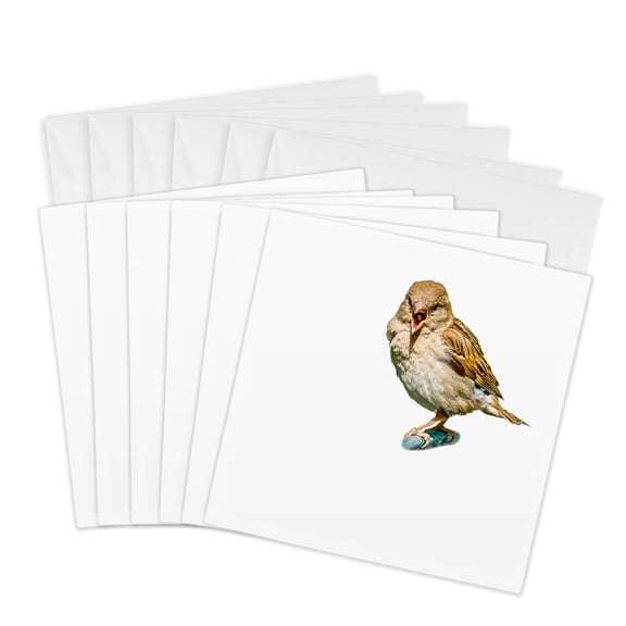 3drose, Chirping Sparrow on White Background, Free Space for Custom Text, 6 Greeting Cards with Envelopes