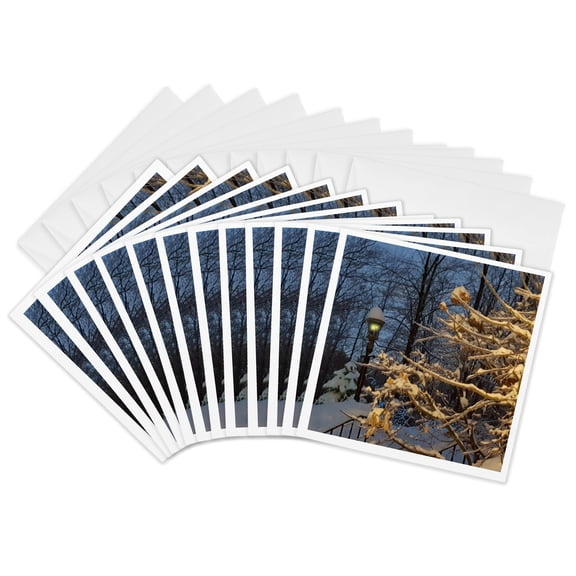 3drose, Christmas Snow Winter Night Icy Branches Scenic Holiday, 12 Greeting Cards with Envelopes