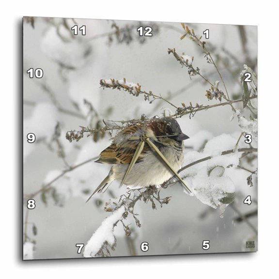 3drose, Christmas in New York House Sparrow in the Snow Central Park, 10x10 Wall Clock