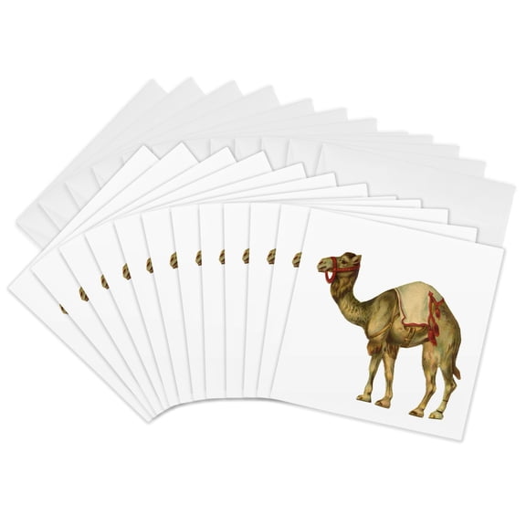 3drose, Circus Camel, 12 Greeting Cards with Envelopes