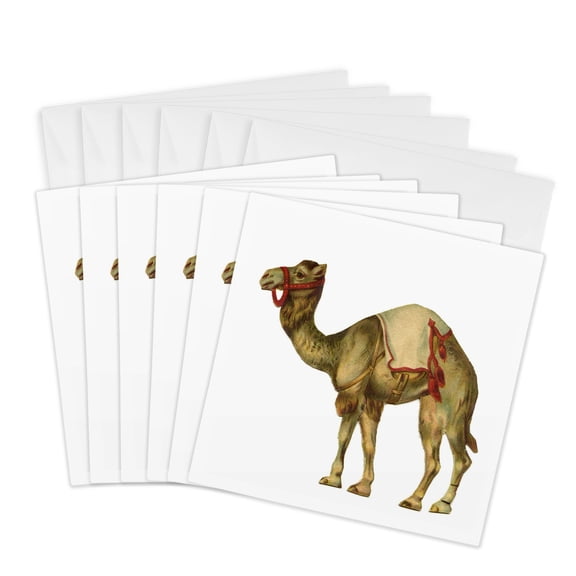 3drose, Circus Camel, 6 Greeting Cards with Envelopes
