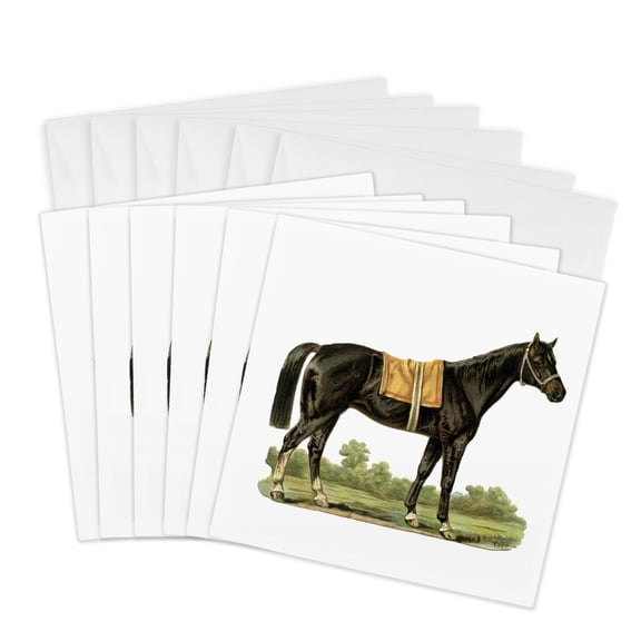 3drose, Circus Horse, 6 Greeting Cards with Envelopes