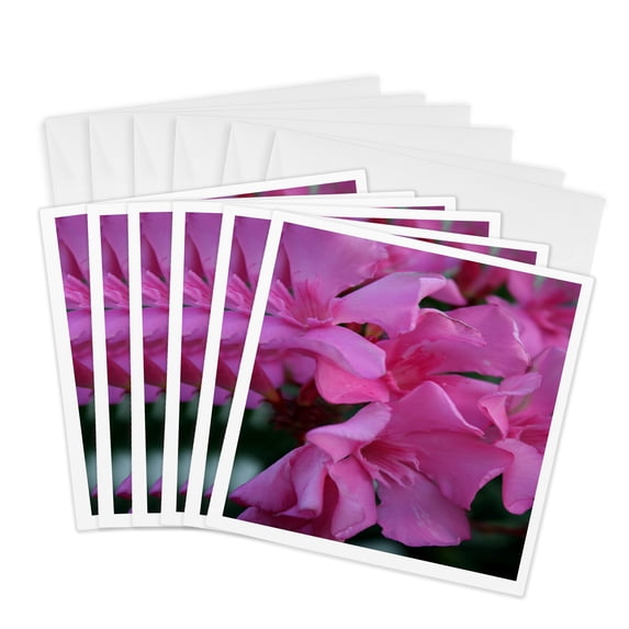 3drose, Close up Shot of Pink Flowers on an Oleander Shrub-small Dogbane Tree, 6 Greeting Cards with Envelopes