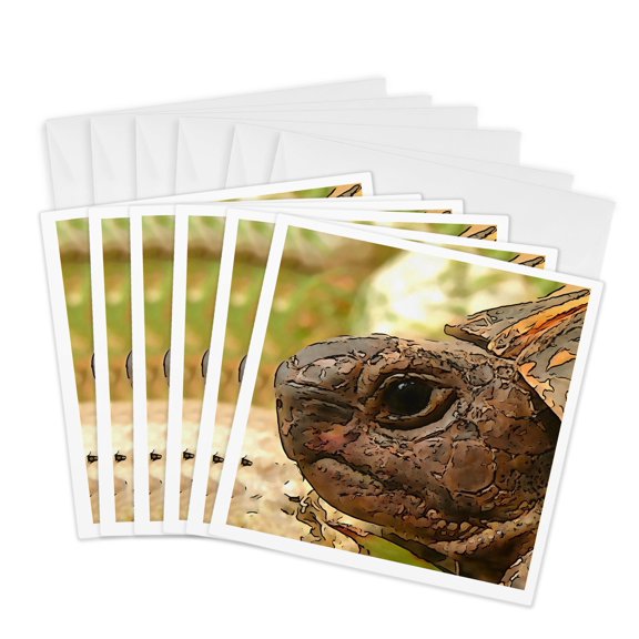 3drose, Close up Side Portrait of a Turkish Tortoise, 6 Greeting Cards with Envelopes