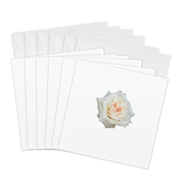 3drose, Close up View of a Beautiful White Rose Isolated, 6 Greeting Cards with Envelopes