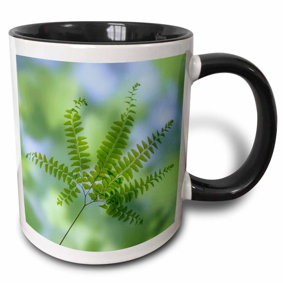 3drose, Close-up of Maidenhair Fern Branch., 11oz Two-tone Black Mug