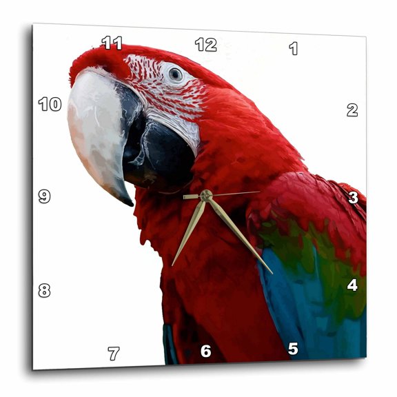 3drose, Close-up of a Green-winged Macaw Background Removed, 15x15 Wall Clock