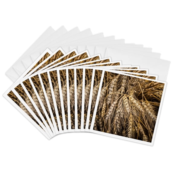 3drose, Closeup View of Ears of Wheat. Allegory of Abundance. Thanksgiving, 12 Greeting Cards with Envelopes