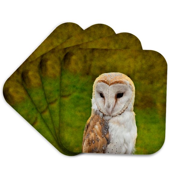 3drose, Closeup View of an Adorable Owl Bird, Textured Green Background, Set of 4 Coasters - Cork