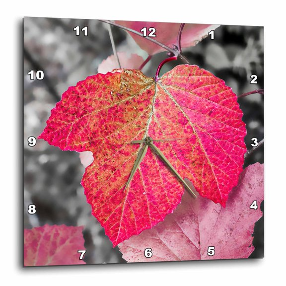 3drose, Closeup of an Sycamore Leaf Rendered in Red and Grey., 15x15 Wall Clock