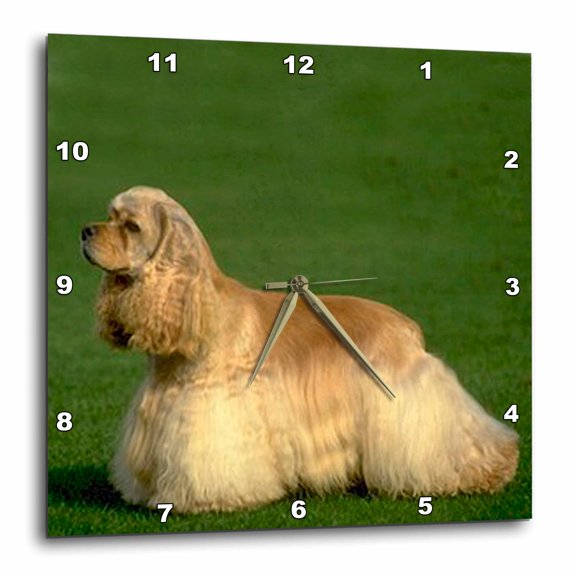 3drose, Cocker Spaniel, 15x15 Wall Clock