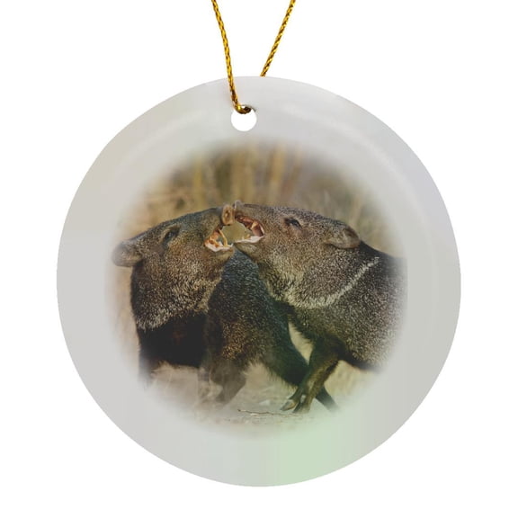 3drose, Collared Peccary Bird Fighting, Texas, Usa - Us44 Ldi0832 - Larry Ditto, Circle Porcelain Ornament