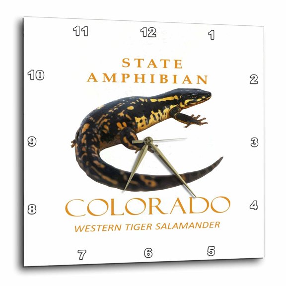 3drose, Colorado Territory Amphibian the Western Tiger Salamander, 13x13 Wall Clock