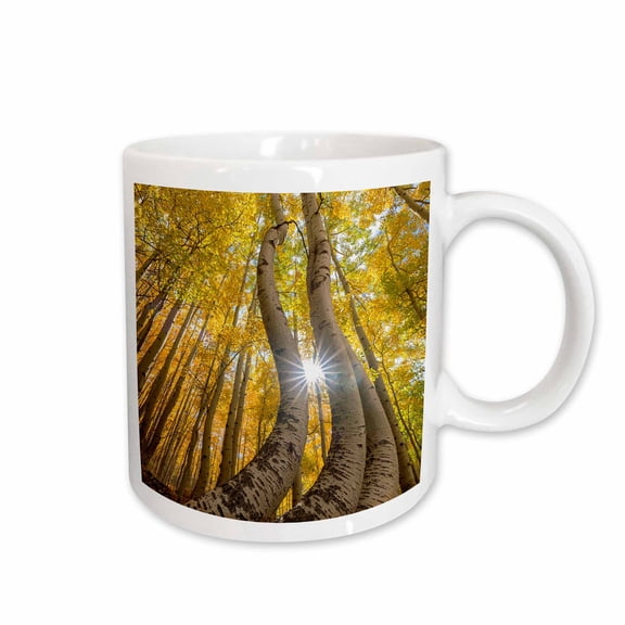 3drose, Colorado, Uncompahgre National Forest. Aspen Forest Road in Autumn., 15oz Mug