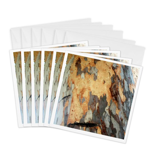 3drose, Colorful Patches and Interesting Patterns of Bark, 6 Greeting Cards with Envelopes