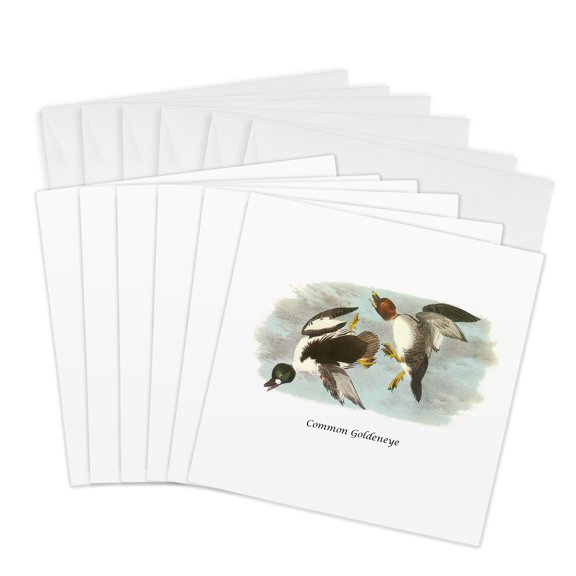 3drose, Common Goldeneye by John James Audubon, 6 Greeting Cards with Envelopes