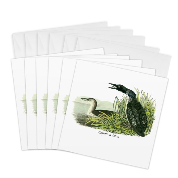 3drose, Common Loon by John James Audubon, 6 Greeting Cards with Envelopes