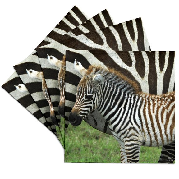 3drose, Common Zebra Kenya Africa 2, Set of 4 Ceramic Tile Coasters