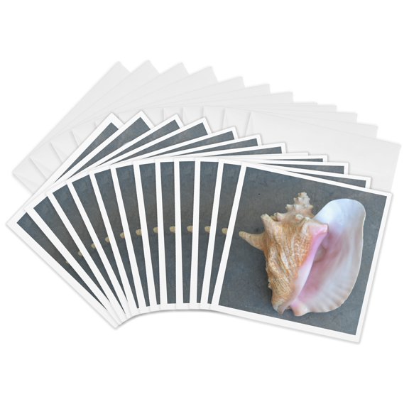 3drose, Conch Shell, 12 Greeting Cards with Envelopes