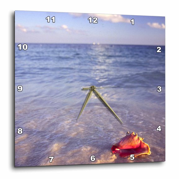 3drose, Conch Shell, Grand Bahama Island, Caribbean-ca05 Jda0000 - Janell Davidson, 15x15 Wall Clock
