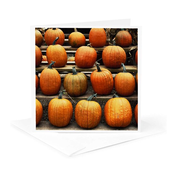 3drose, Connecticut, Conventry, Fall Pumpkins., 1 Greeting Card with Envelope