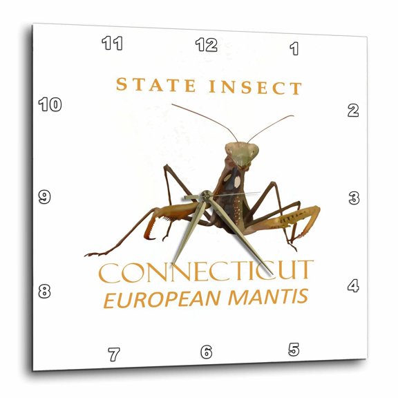 3drose, Connecticut Territory Insect the European Mantis, 13x13 Wall Clock