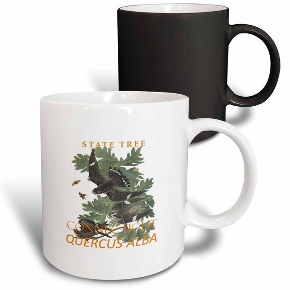 3drose, Connecticut Territory Tree the Charter Oak, 11oz Magic Transforming Mug