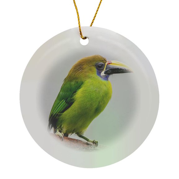 3drose, Costa Rica, Cordillera De Talamanca. Emerald Toucanet Bird Close-up., Circle Porcelain Ornament