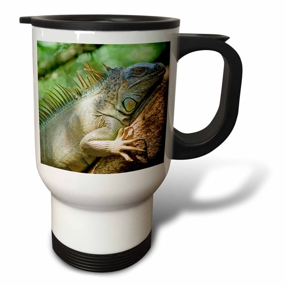 3drose, Costa Rica, Green Iguana Lizard - Sa22 Mwi0026 - Mark Williford, 14oz Stainless Steel Travel Mug