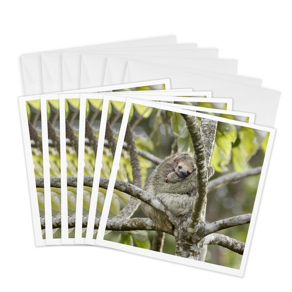 3drose, Costa Rica, Three-toed Sloth Wildlife - Sa22 Bja0001 - Jaynes Gallery, 6 Greeting Cards with Envelopes