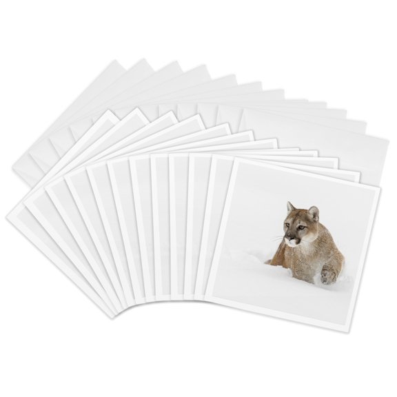 3drose, Cougar or Mountain Lion in Deep Winter Snow., 12 Greeting Cards with Envelopes