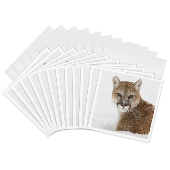 3drose, Cougar or Mountain Lion in Deep Winter Snow., 12 Greeting Cards with Envelopes