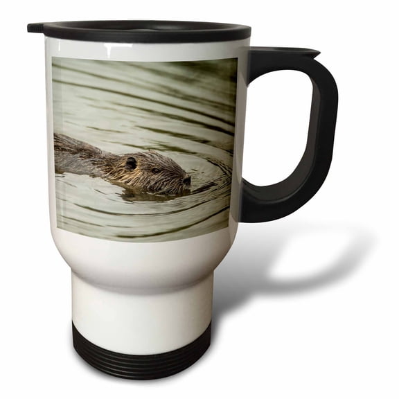 3drose, Coypu, Aka River Rat or Nutria Is a Large, Semi-aquatic Rodent., 14oz Stainless Steel Travel Mug