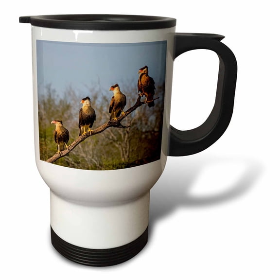 3drose, Crested Caracara, Caracara Cheriway., 14oz Stainless Steel Travel Mug