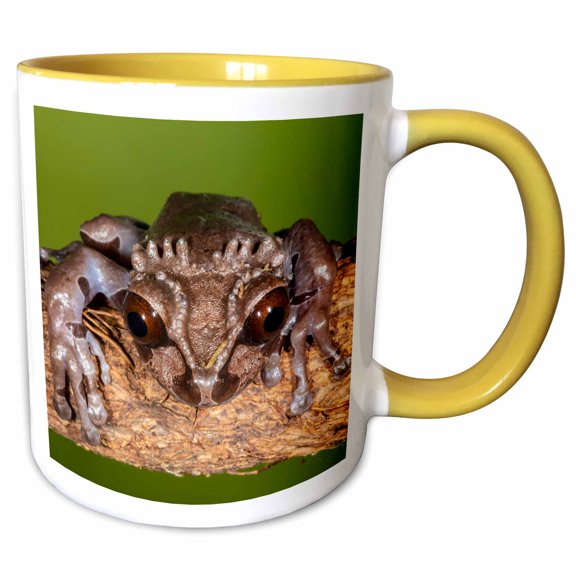 3drose, Crowned Tree Frog., 11oz Two-tone Yellow Mug