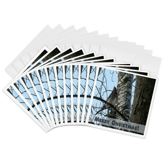 3drose, Cute Bluejay in Tree Merry Christmas, 12 Greeting Cards with Envelopes