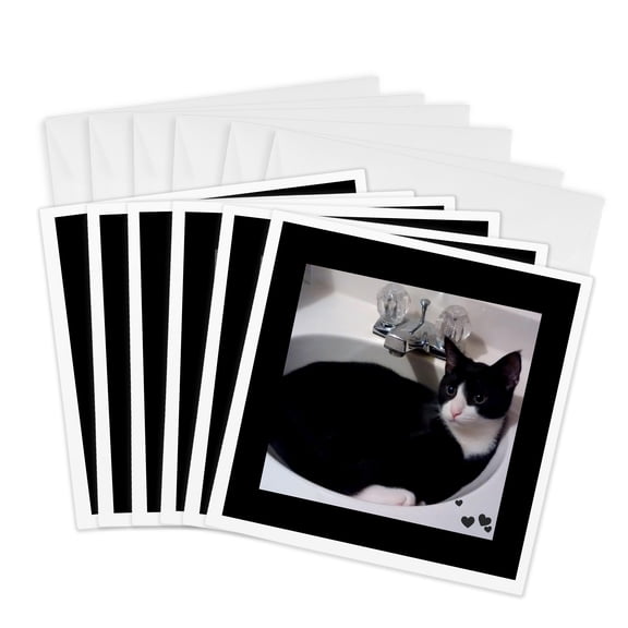 3drose, Cute Cat Lovers Black White Tux Cat Curled up in Sink, 6 Greeting Cards with Envelopes