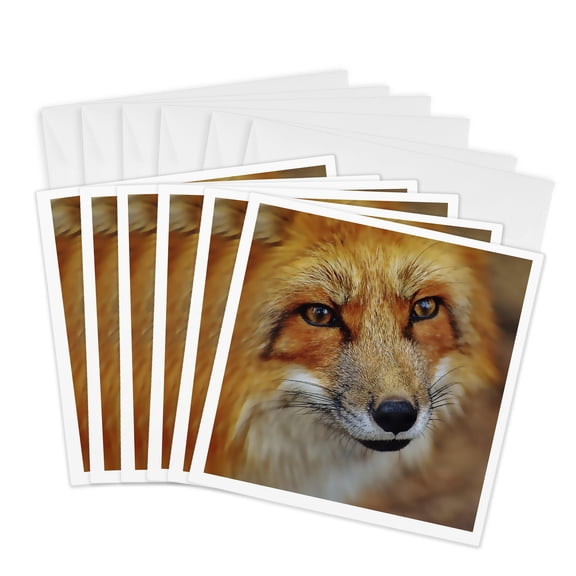 3drose, Cute Fox Face Close up Photo, 6 Greeting Cards with Envelopes