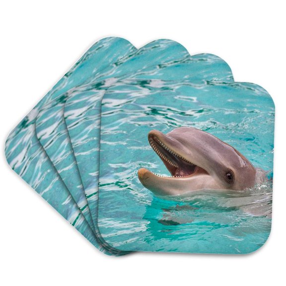 3drose, Cute Happy Dolphin Looking Out of the Water Animal Photography, Set of 4 Coasters - Soft