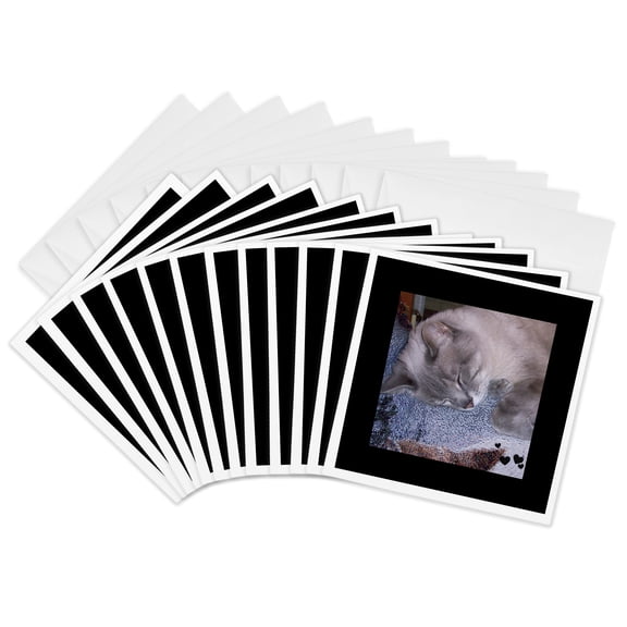3drose, Cute Sleeping Grey White Siamese Cat Photo, 12 Greeting Cards with Envelopes