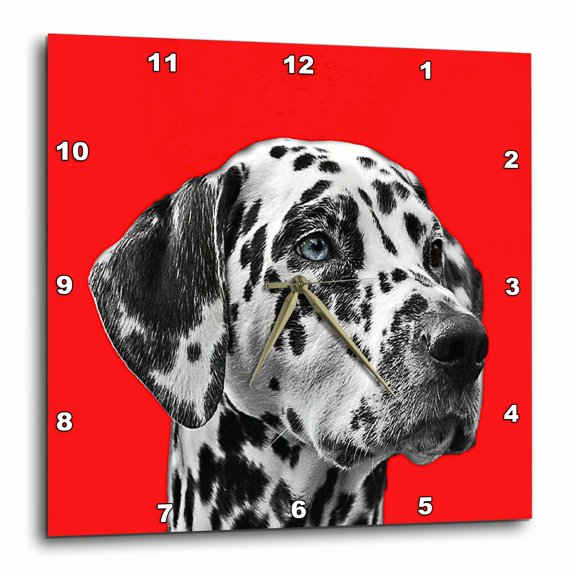 3drose, Dalmatian Dog on Red Background, Pet, Puppy Animal, 10x10 Wall Clock