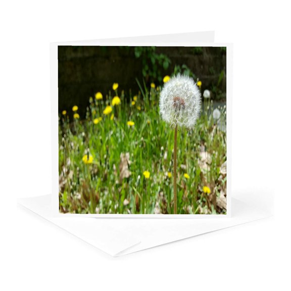 3drose, Dandelion Seeds Flower, 1 Greeting Card with Envelope