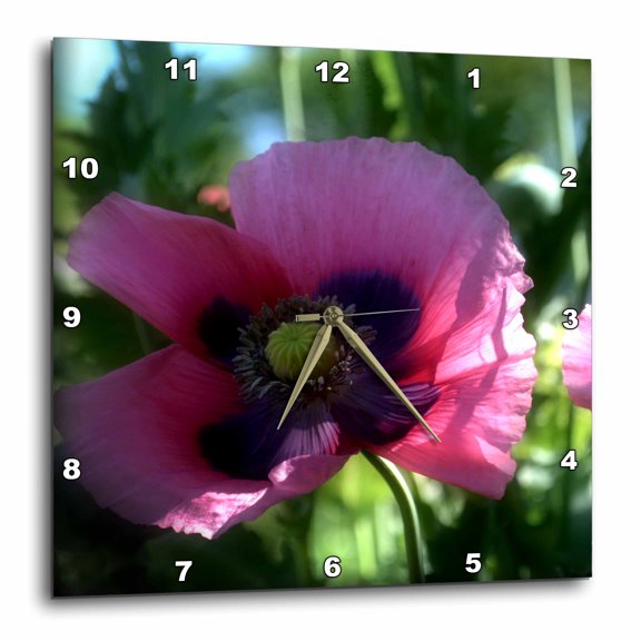 3drose, Dark Pink Poppy Flower Is a Close up Shot of Poppy Flowers, 15x15 Wall Clock
