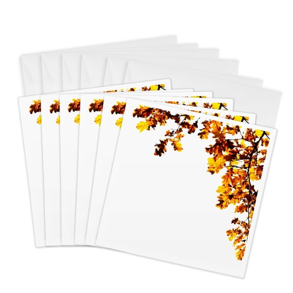 3drose, Decorative Frame of Shining Brown Oak Leaves, Space for Custom Text, 6 Greeting Cards with Envelopes