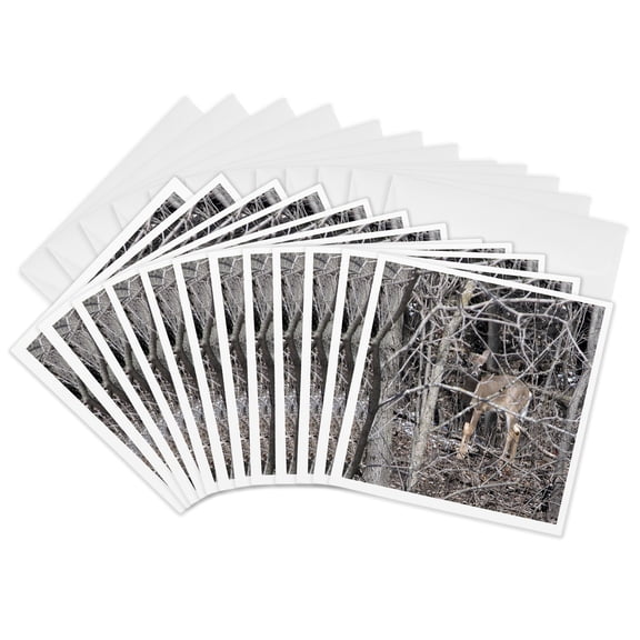 3drose, Deer in the Woods, 12 Greeting Cards with Envelopes