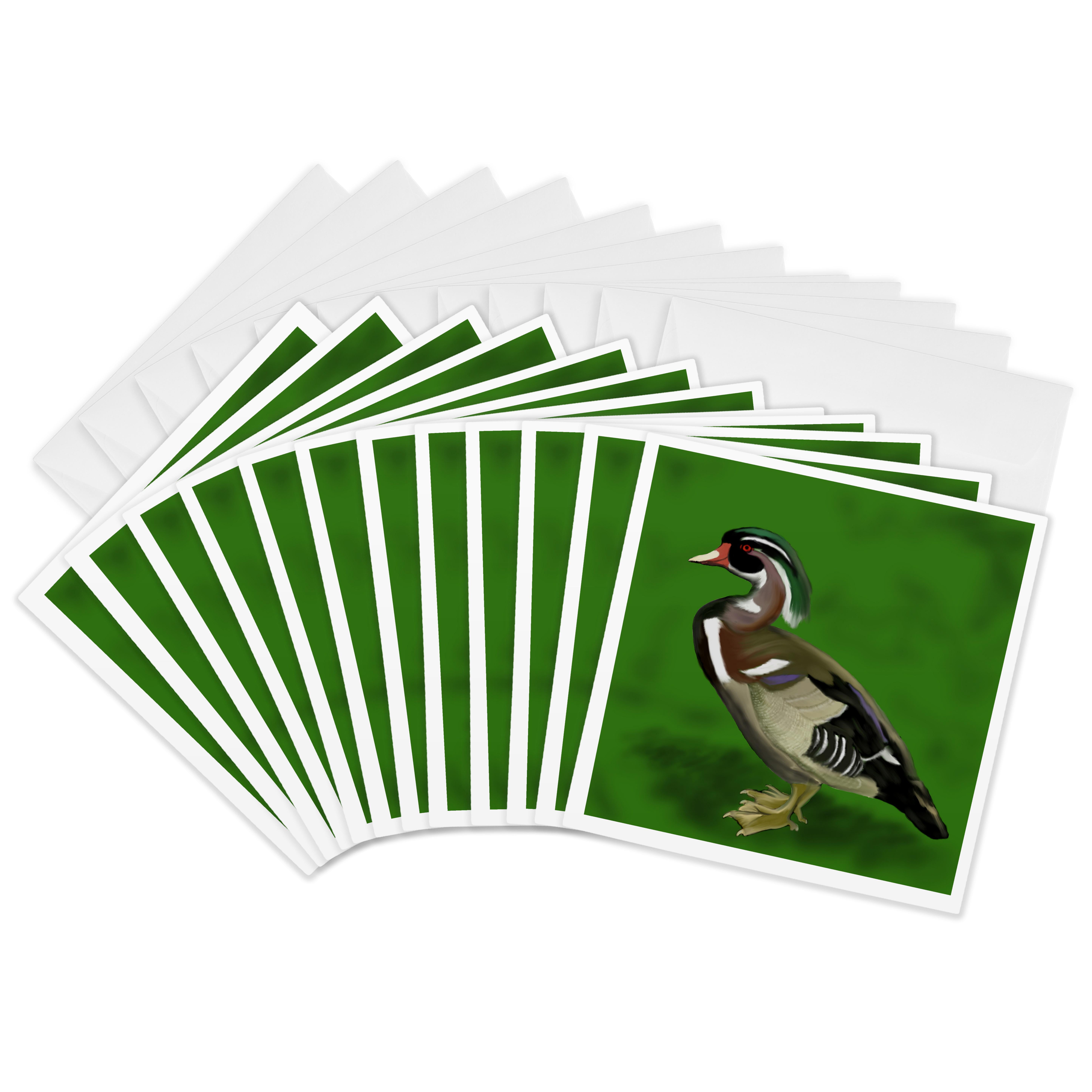 3drose, Digital Oil Painting of a Wood Duck. This Unusual and Colorful ...